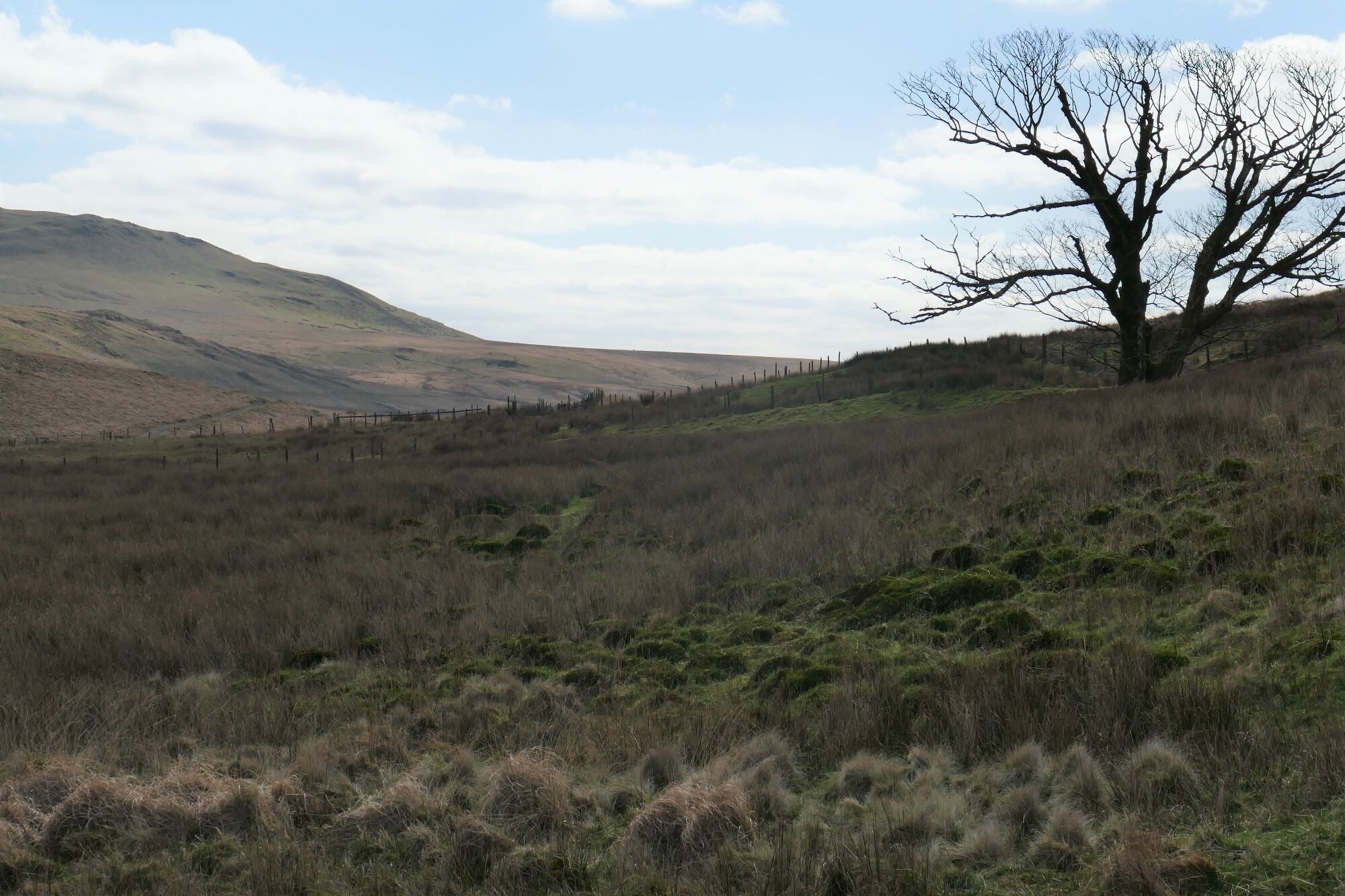 RachelSeabrook.net | Wild Walking | Cwm Cyneiniog and Craig y Pistyll | pic18